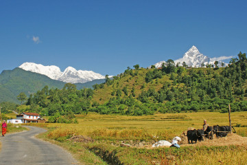 The Royal Trek